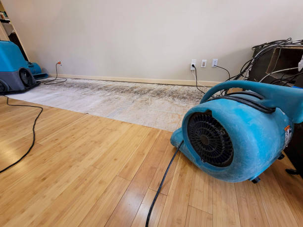 Professional Water Damage Repair technician working in The Colony, TX